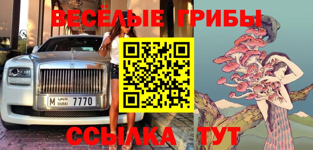 Галлюциногенные грибы ЛСД Котлас